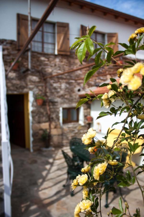 Casa Adalcina Lägenhet Mirandela Exteriör bild